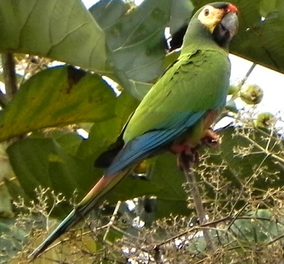 Foto 5